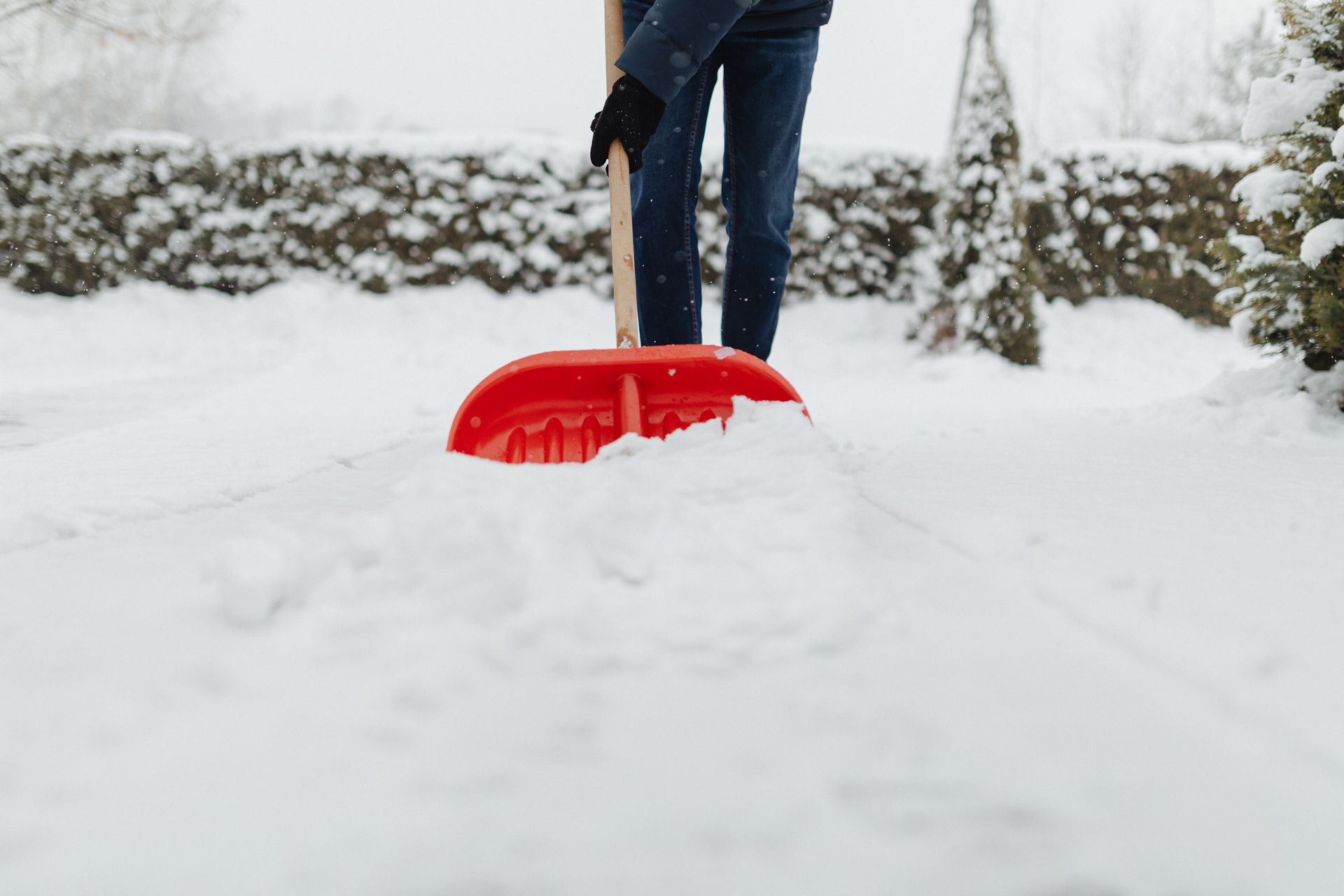 Person shoveling deep snow with a red snow shovel in a snowy yard