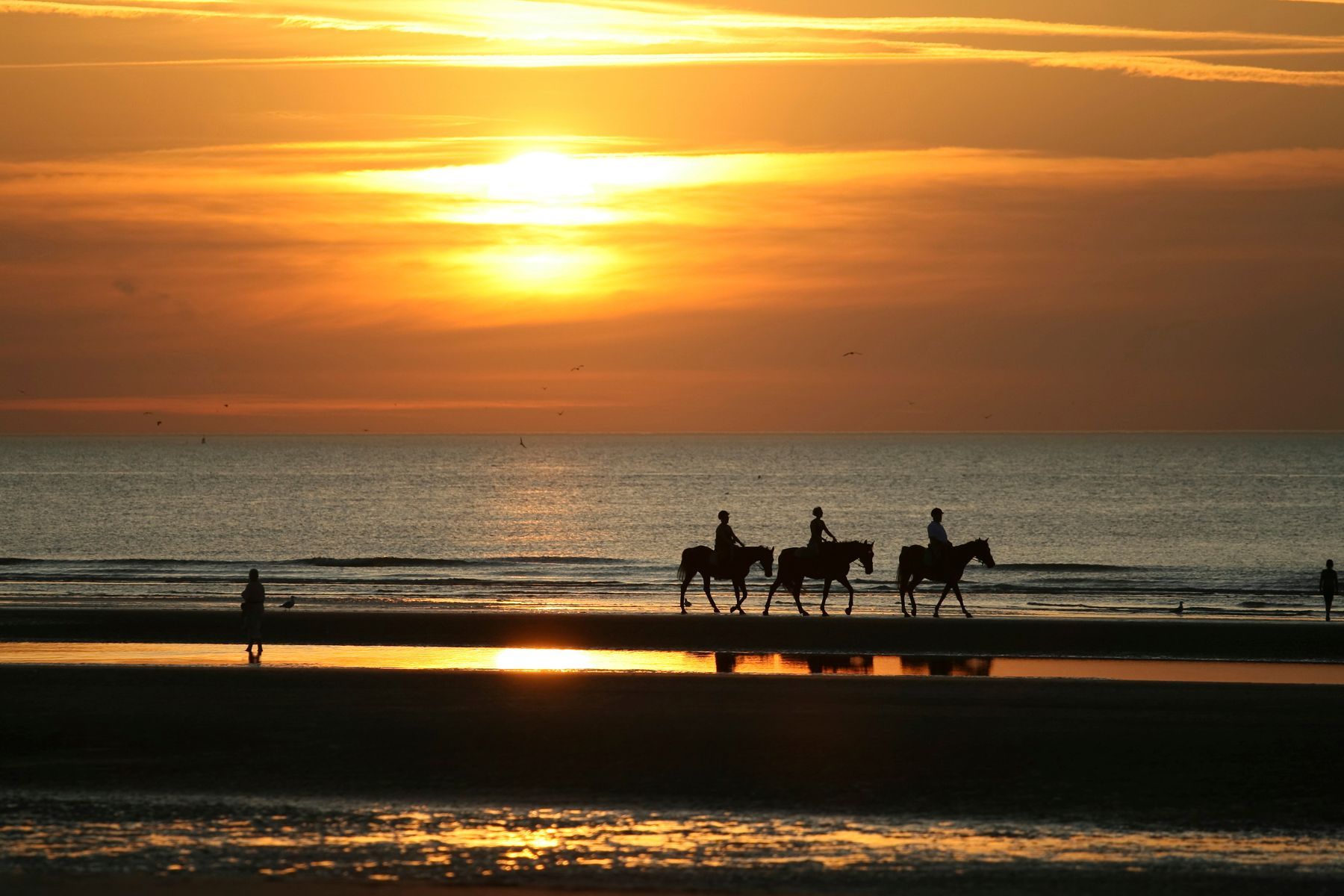 Horseriding
