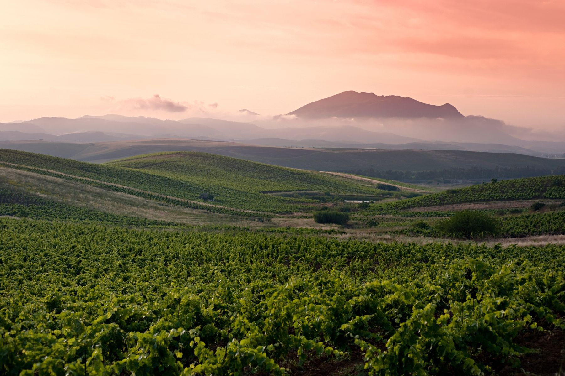Rural Tours of Sicily