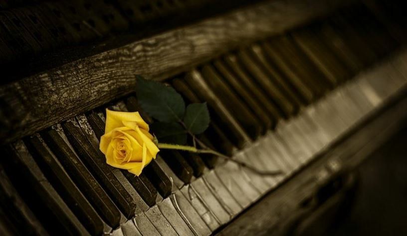 funeral homes in South Holland, IL