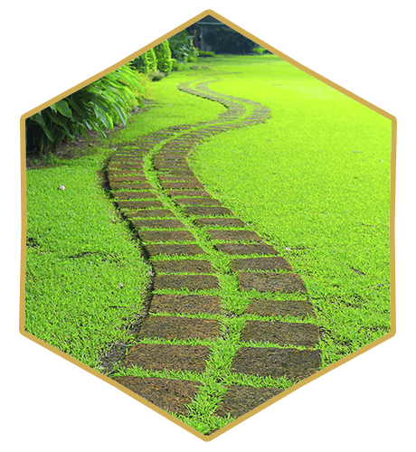 Hydroseeding Services Olean, NY