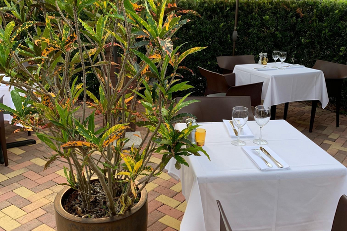Outdoor restaurant tables with white tablecloths and place settings, with a potted plant in the foreground.