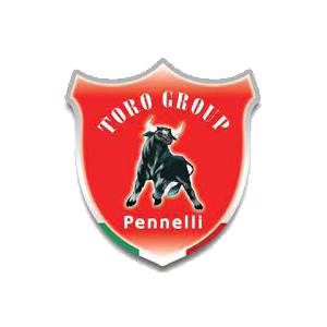 logo toro group
