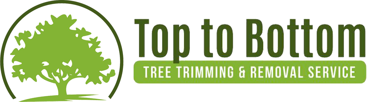 Logo for Top to Bottom Tree Trimming & Removal Service, featuring a tree graphic within a circle.