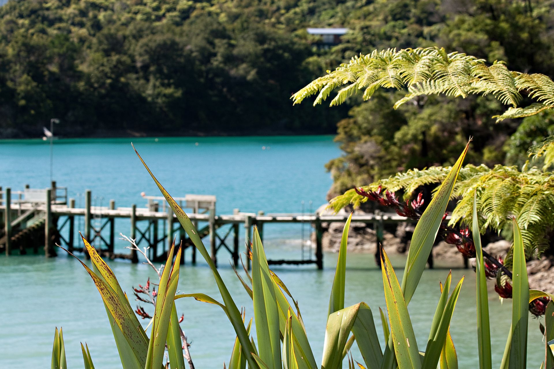 Cloudy Bay Funeral Services | Funeral Services