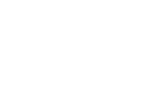 Burrus Custom Cabinets Logo