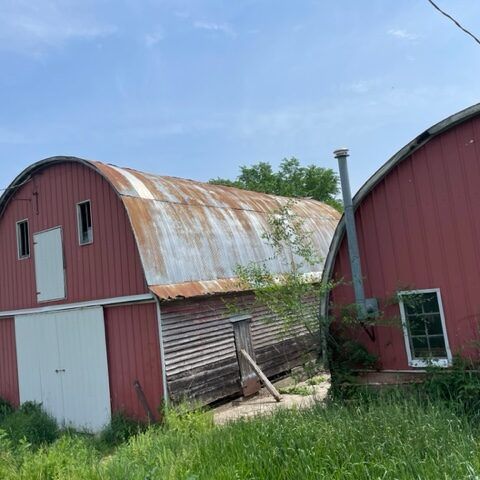 Two red barns with weathered roofs in a grassy rural field under a blue sky