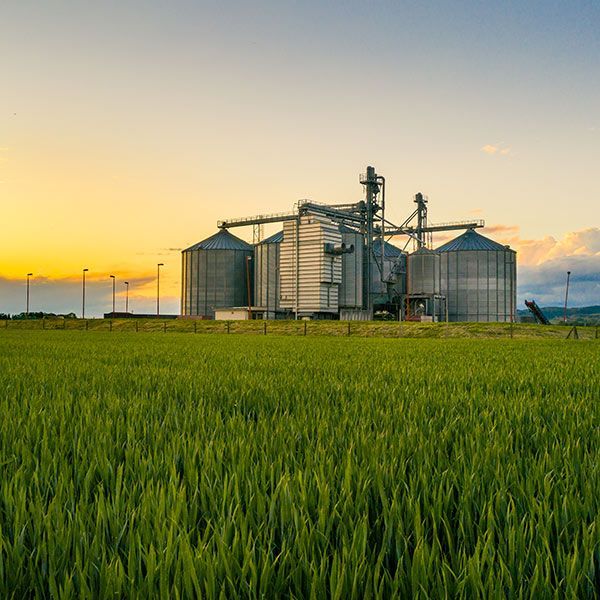 Agricultural