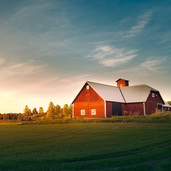Red barn in a grassy field at sunset under a blue sky