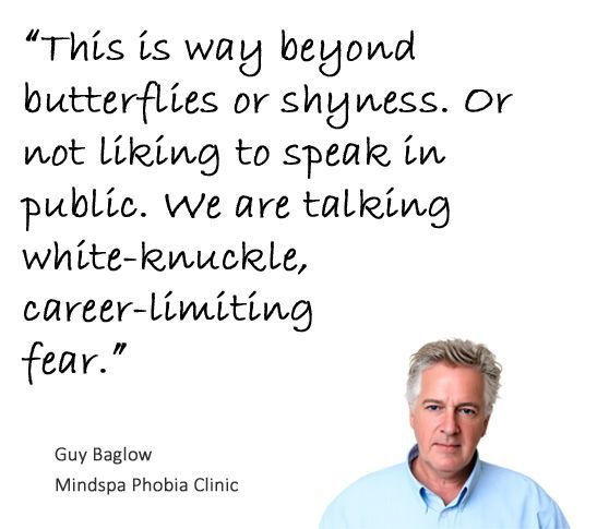 Quote about how we deal with the hardcore fear of public speaking which is way beyond not liking to speak in public
