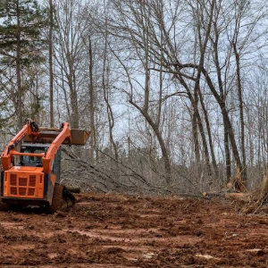 Orange skid-steer clearing muddy ground in a leafless wooded area