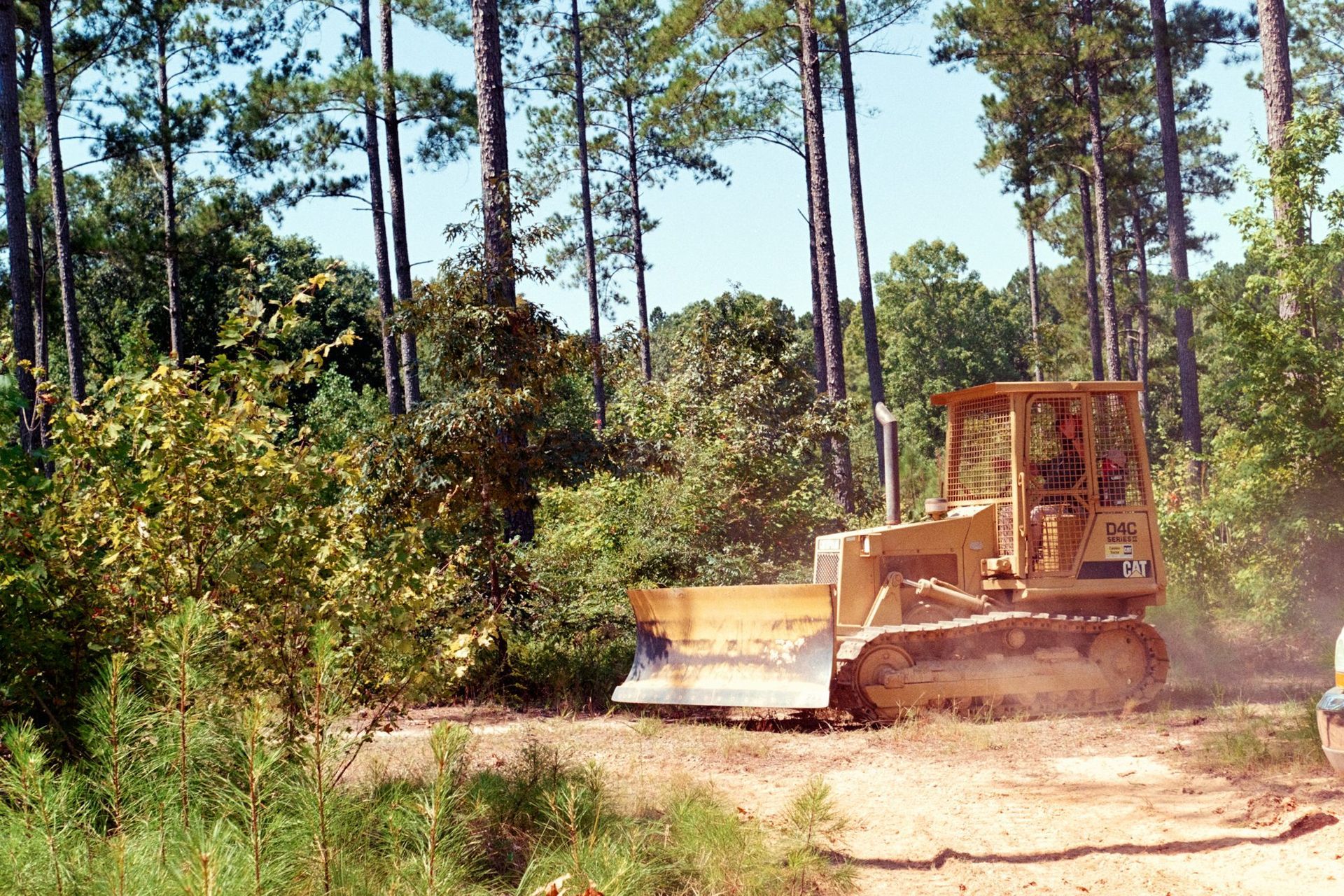 Bulldozer pushing dirt on a dusty forest road with tall pine trees in the background