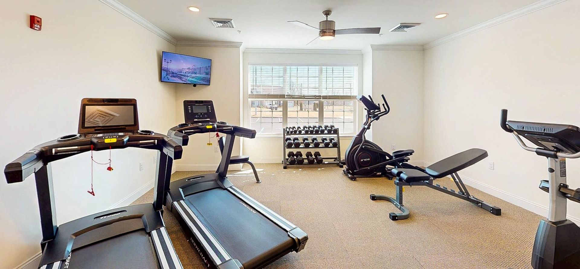 Home gym with treadmills, exercise bike, weight bench, and dumbbell rack