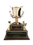 Gold trophy cup with black base and engraved nameplate, displayed on a white background