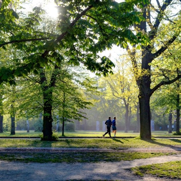 Two people walking on a sunlit path in a green park under tall trees