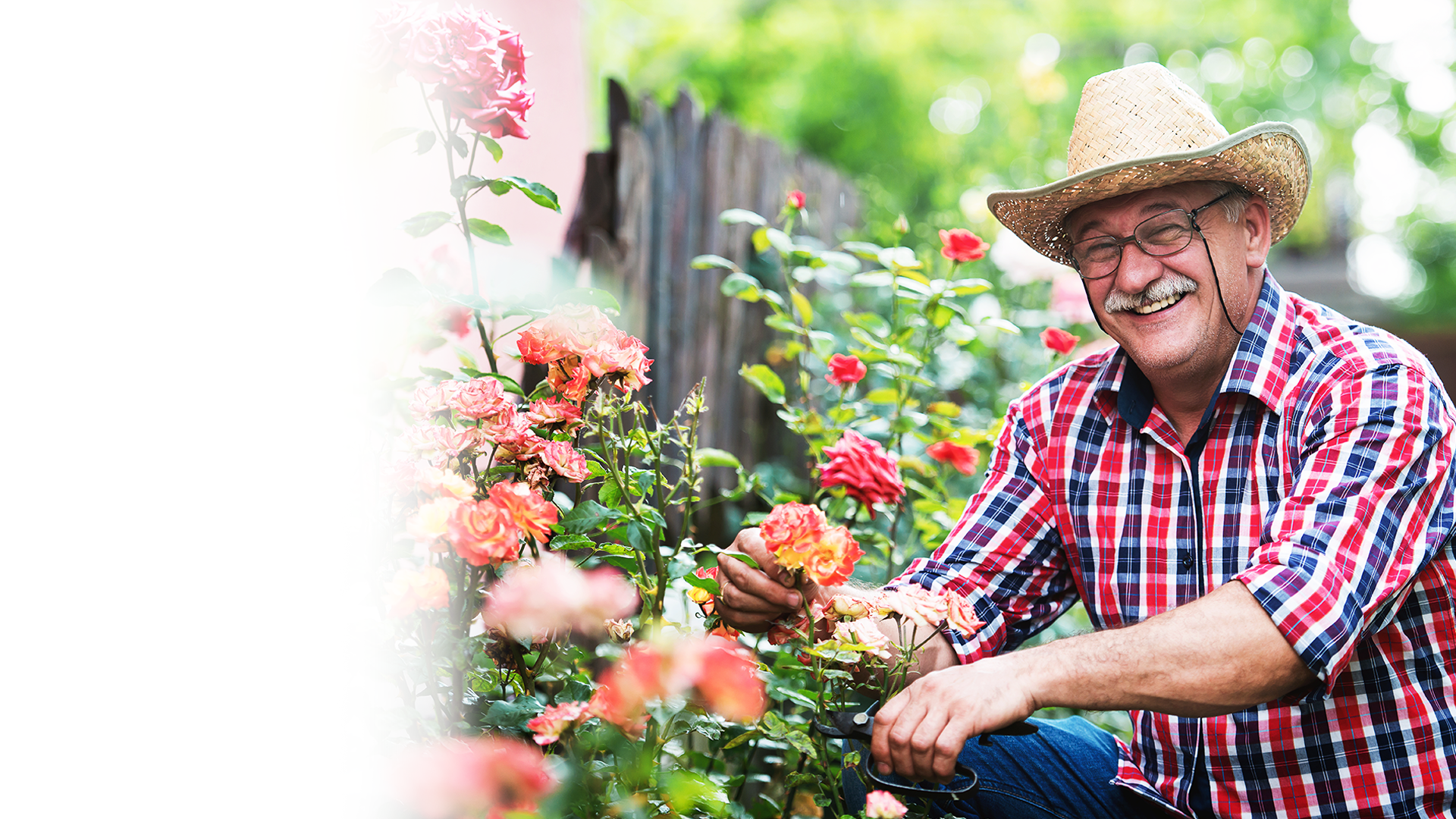 An elderly man in a cowboy hat is kneeling down in a garden.