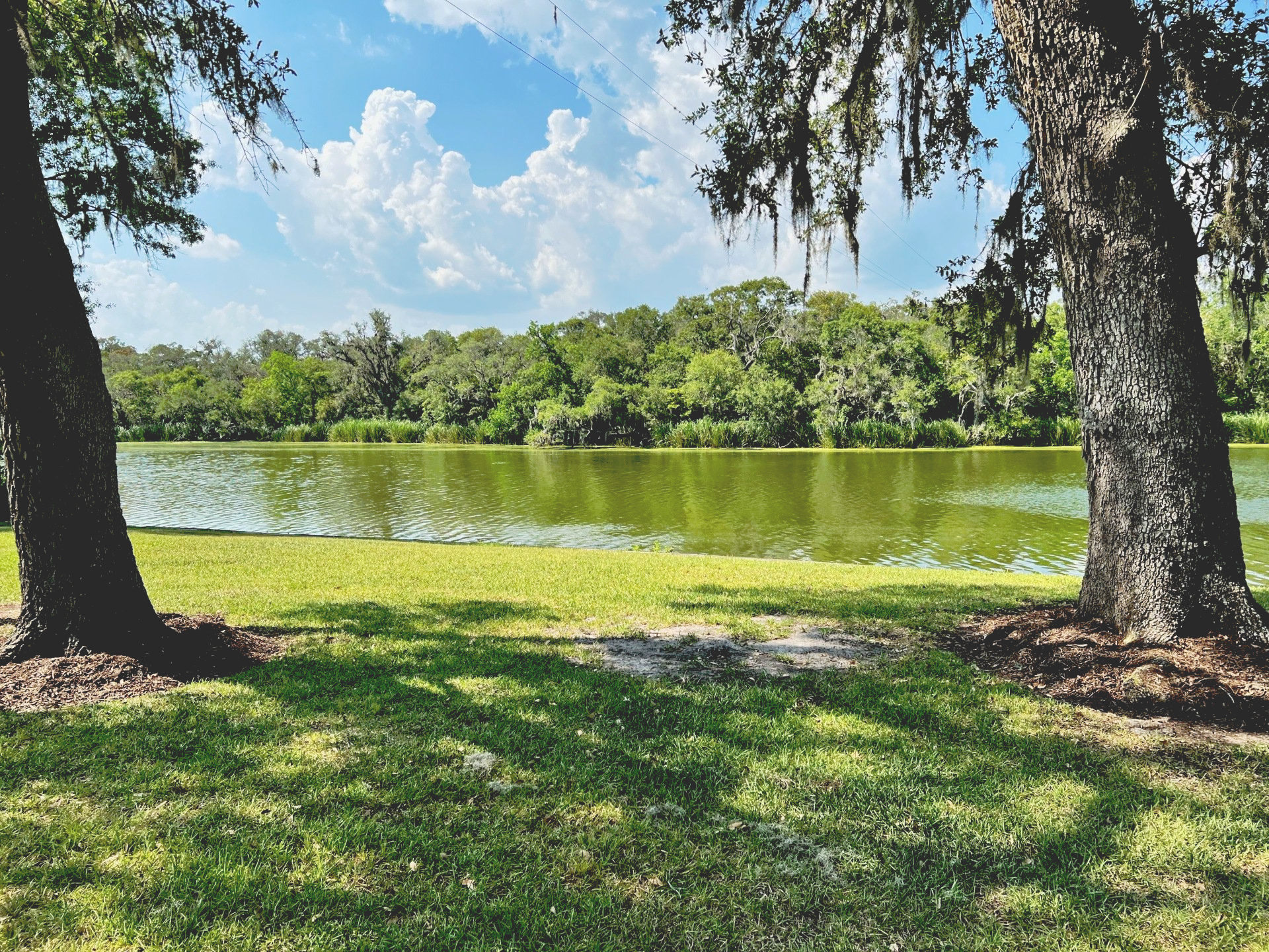 There is a lake in the middle of a park with trees in the foreground.