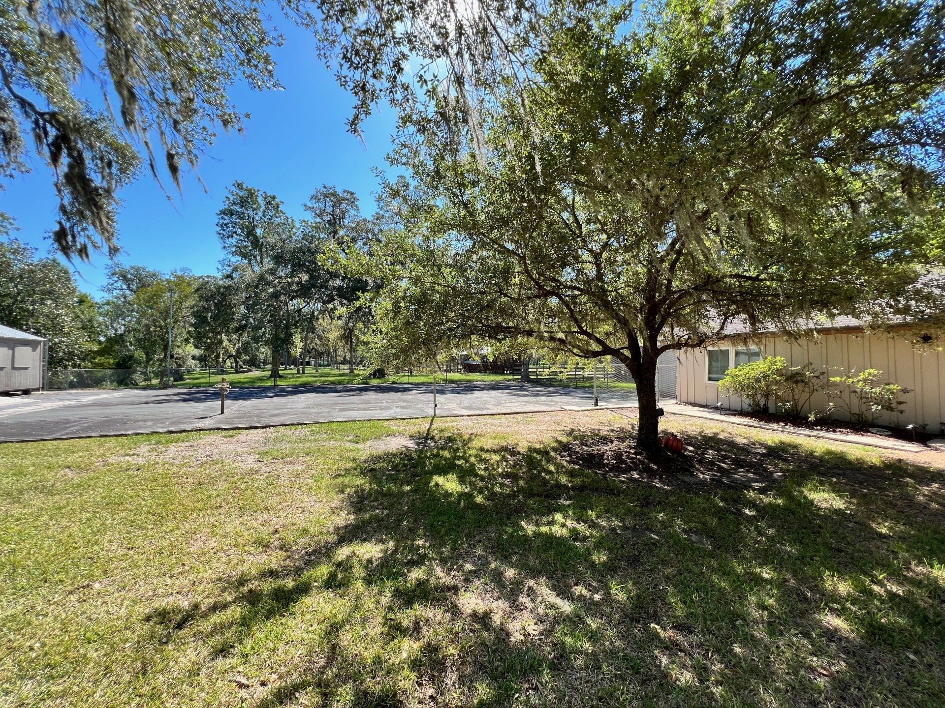 there is a large tree in the middle of the yard .