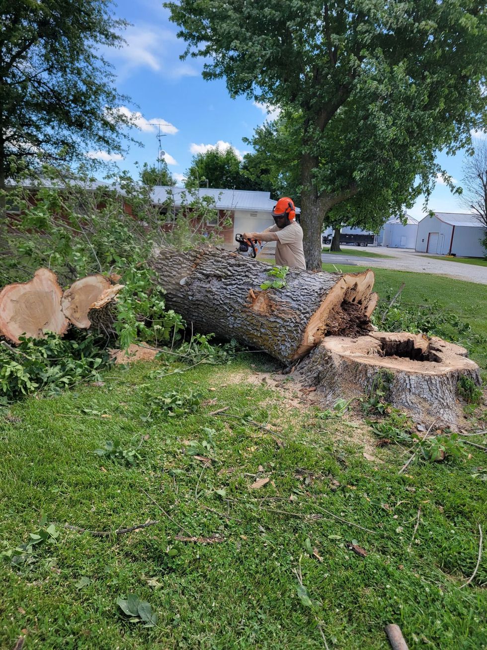 Person in an orange hard hat working on a large fallen tree trunk in a grassy yard under blue sky