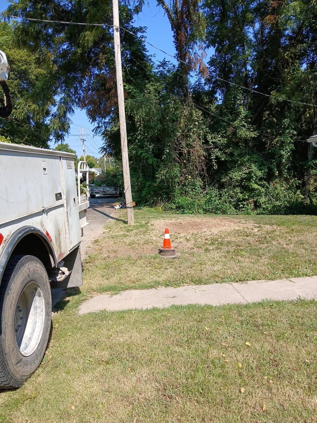 Utility truck beside grassy roadside with an orange cone and trees in the background