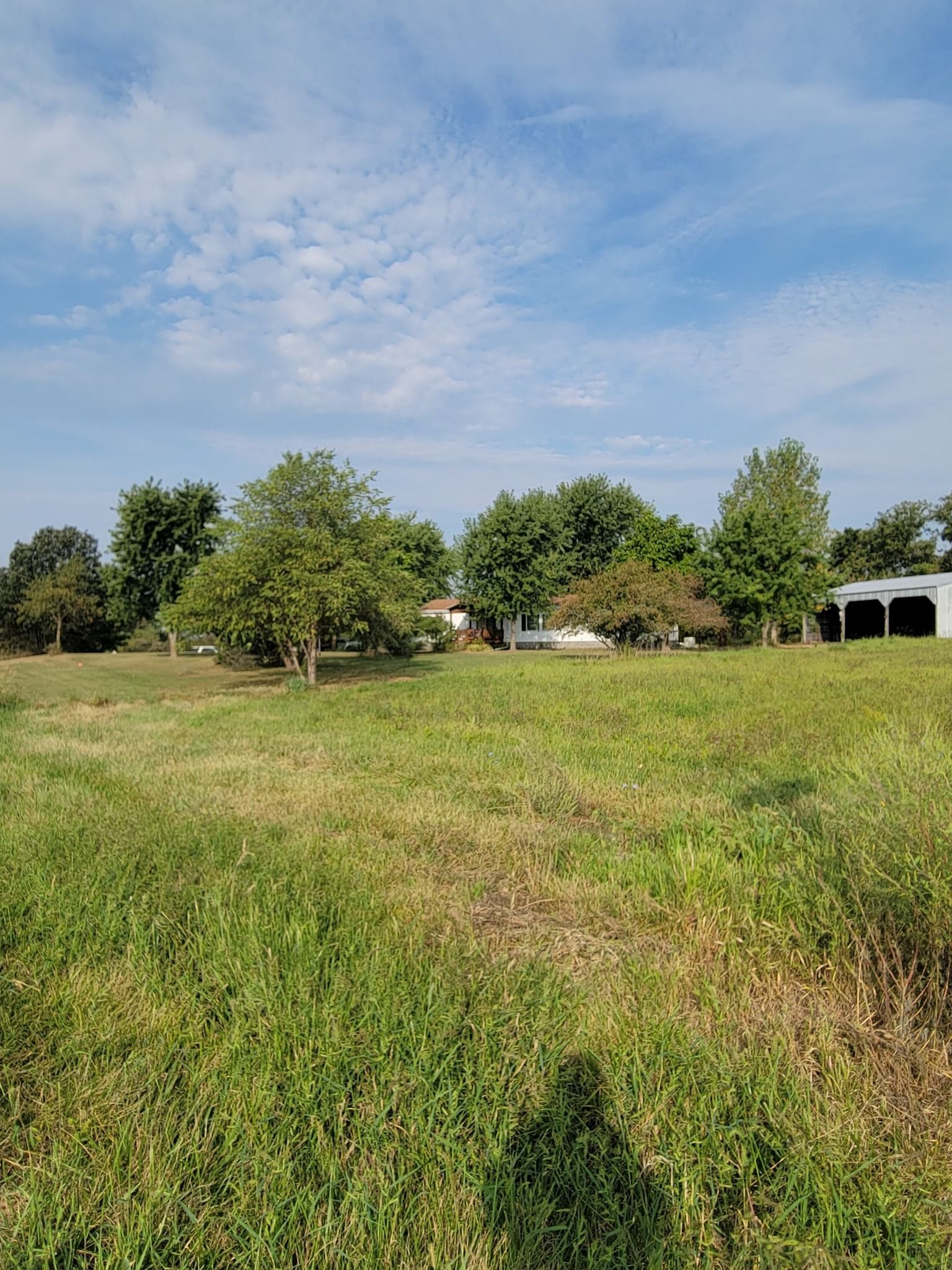 Grassy field with trees under a blue, partly cloudy sky; white arched structure at right.