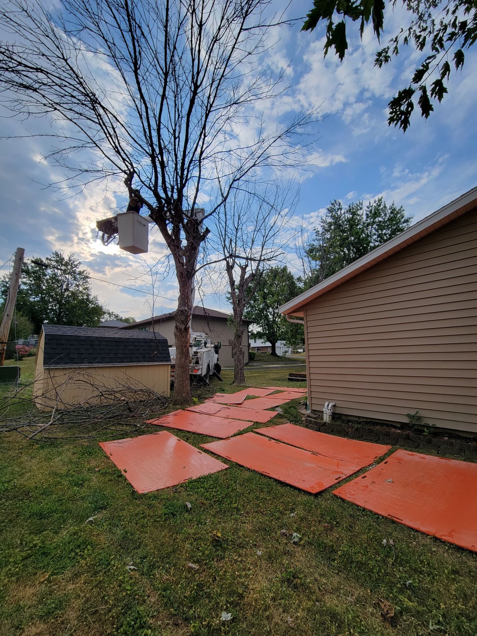 Backyard with a large tree, red patio mats, and a beige shed under a cloudy blue sky