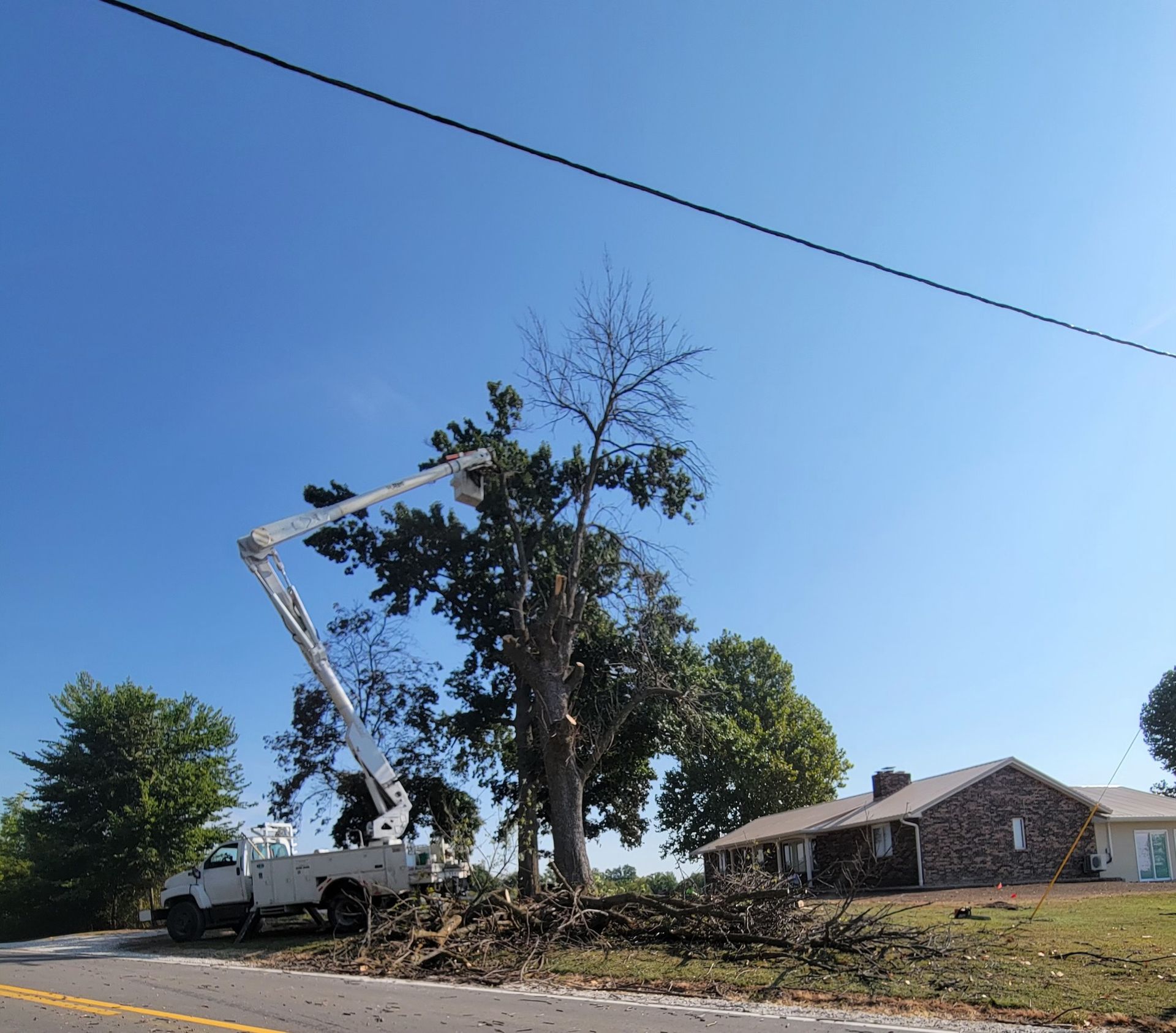 Bucket truck trimming a tall tree beside a house on a sunny day