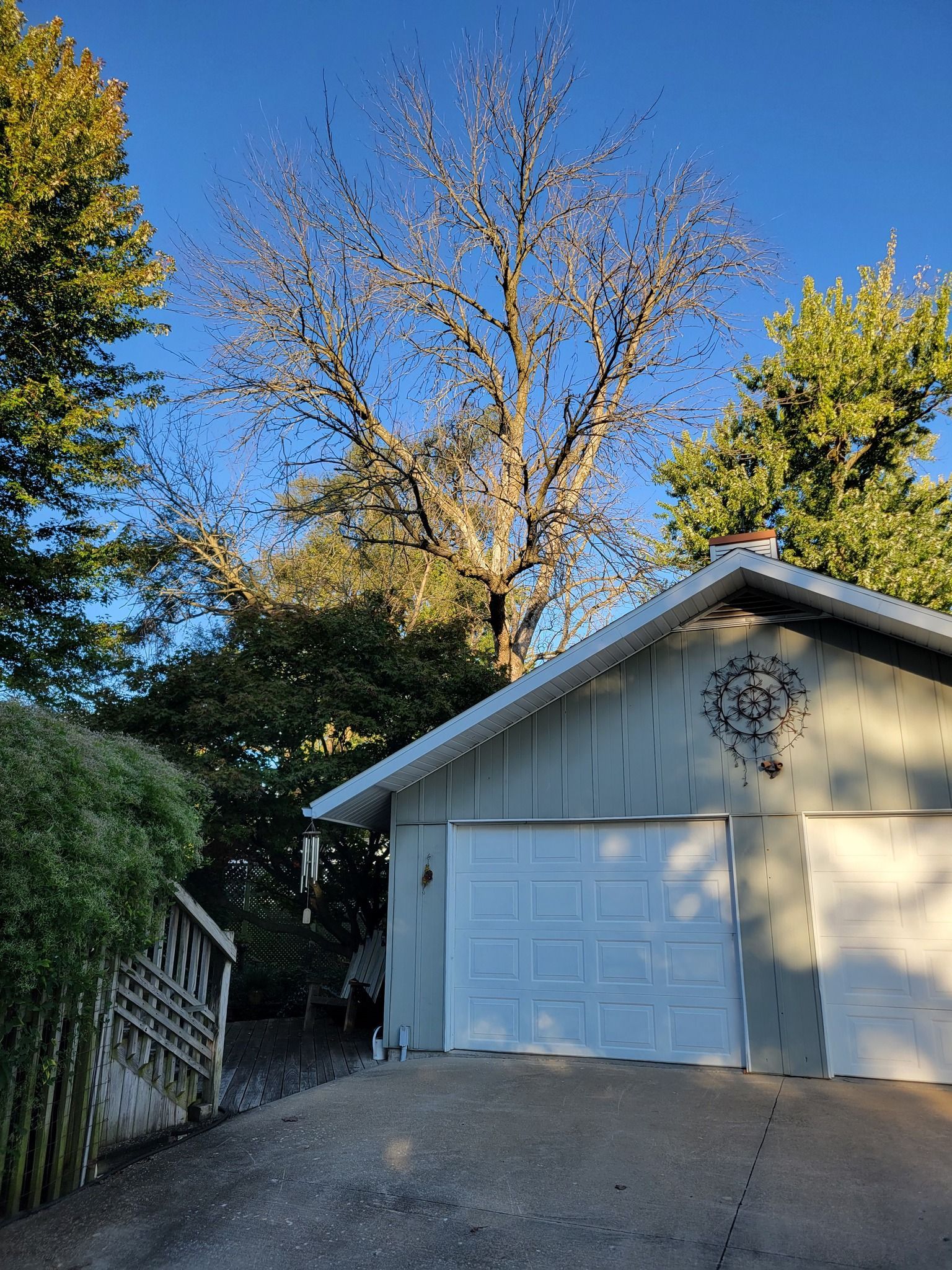 Driveway leading to a white garage with a steep tree-lined slope and blue sky above.