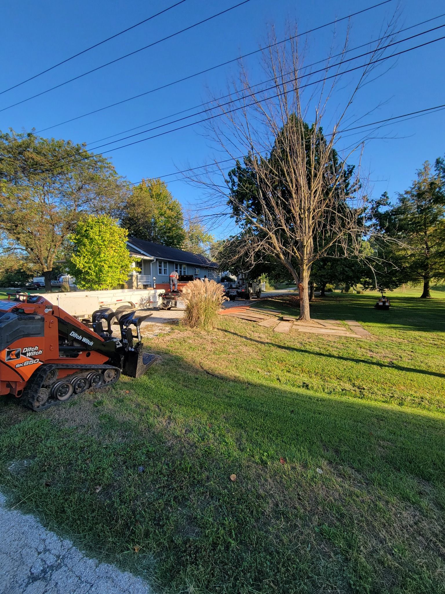 Backyard with a lawn mower in the grass, trees, and a house under a clear blue sky.