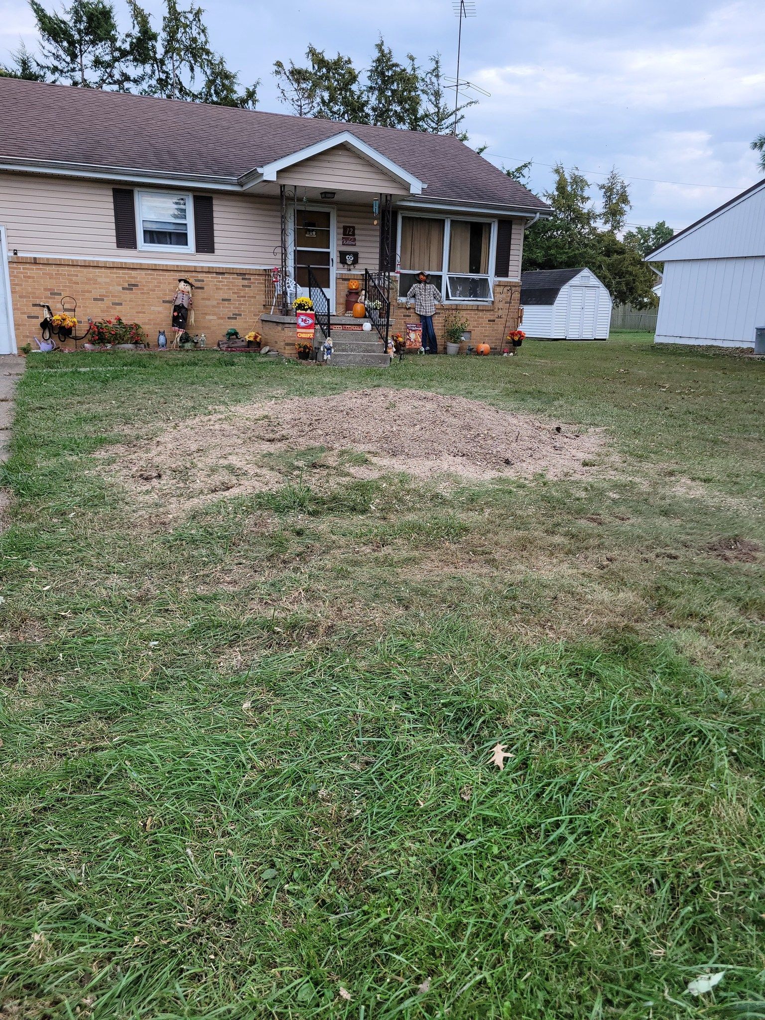 Small house with a patchy front lawn and a white shed in the background.