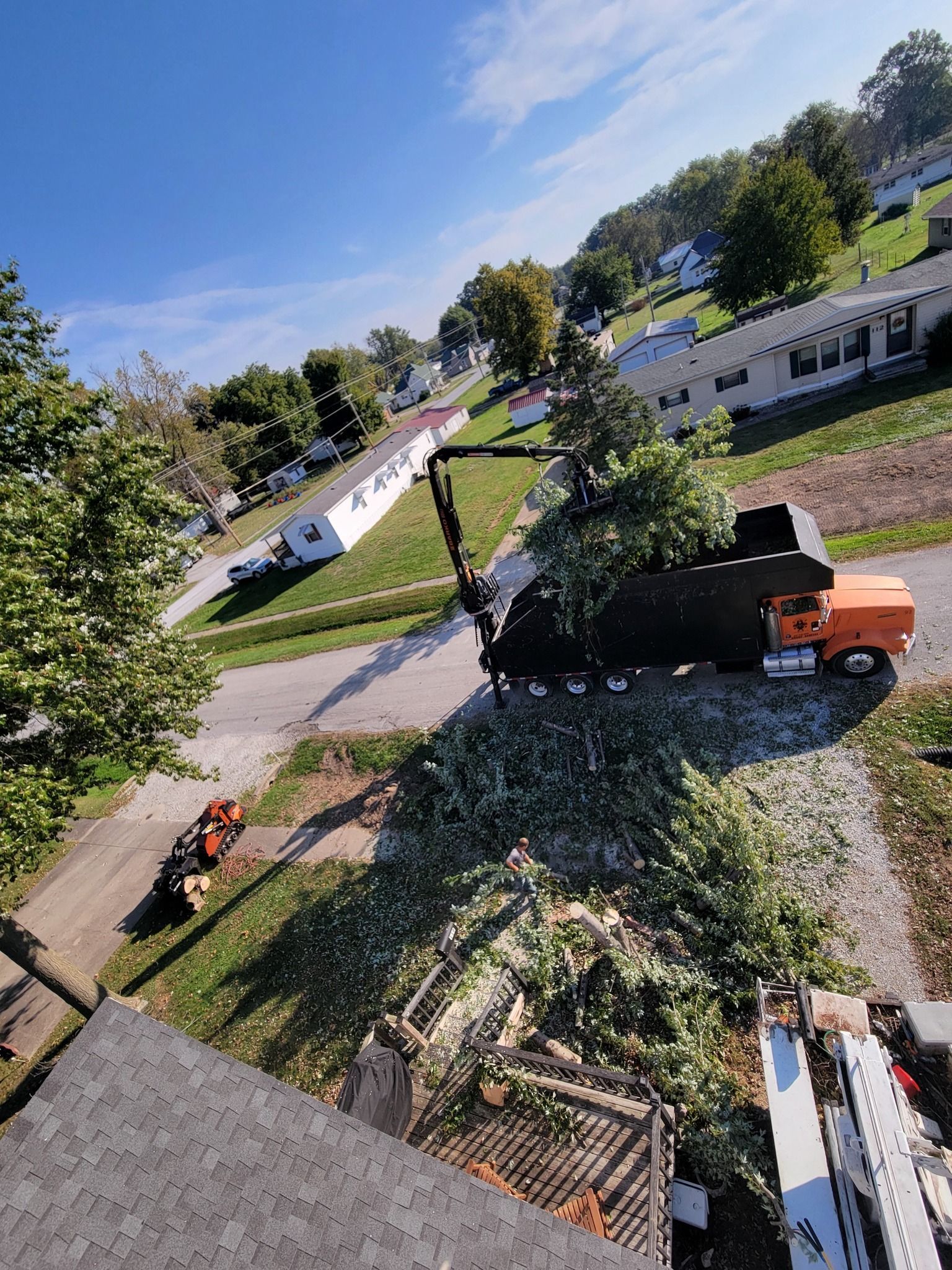 Tree-lined suburban street with a black truck and orange vehicle beside a white house under a blue sky