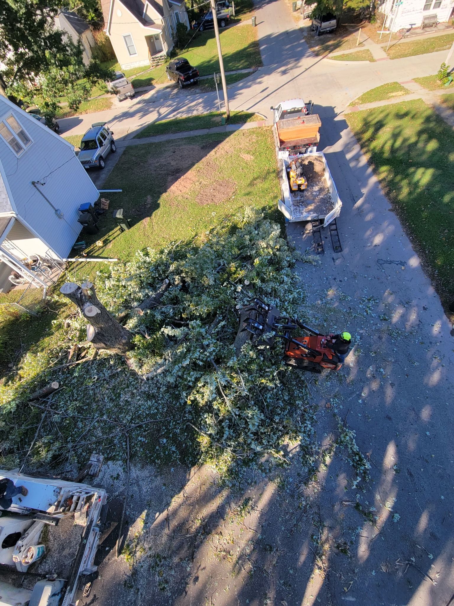 Aerial view of a residential yard with a large fallen tree and a red mower near a driveway