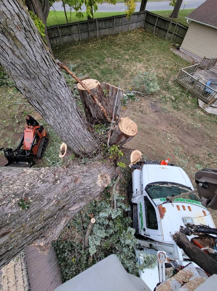 Tree removal work in a backyard, with cut trunk sections, a chainsaw, and a work truck.
