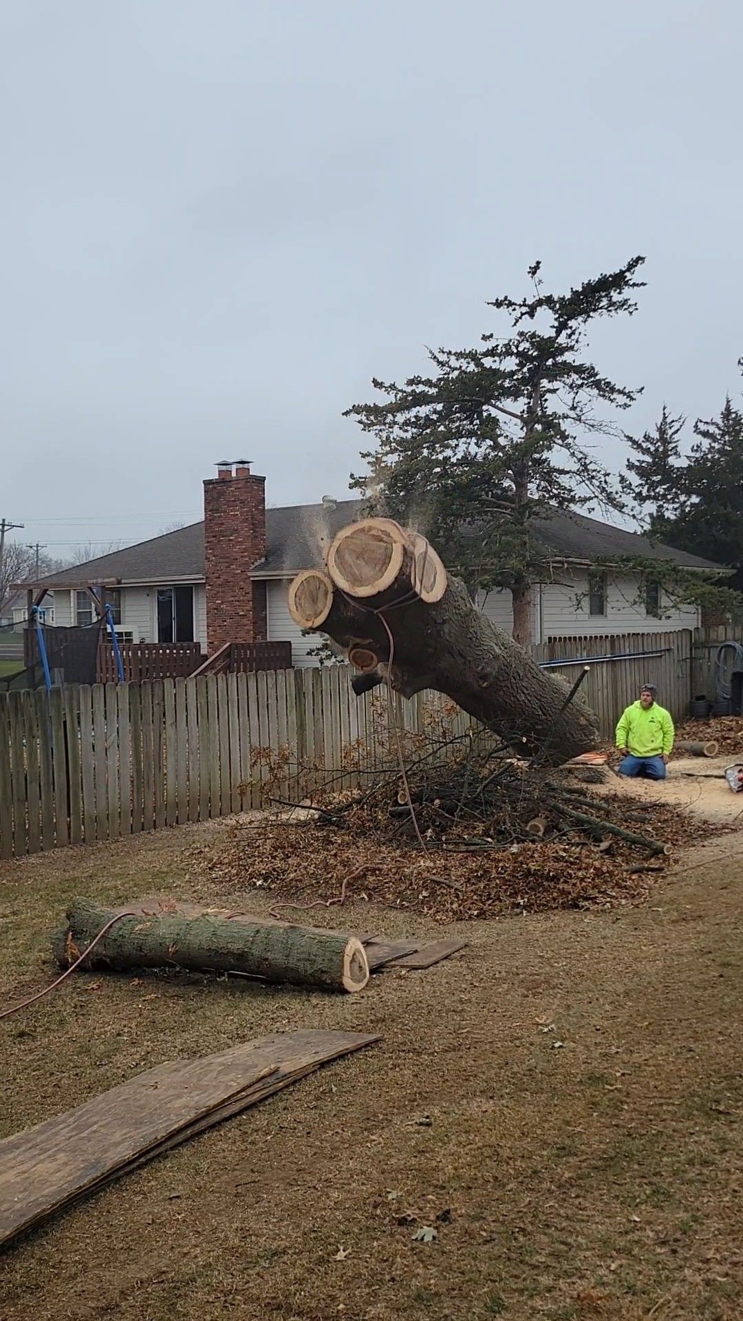 Uprooted tree being removed from a yard, with a worker in a neon jacket nearby and a fence in the background