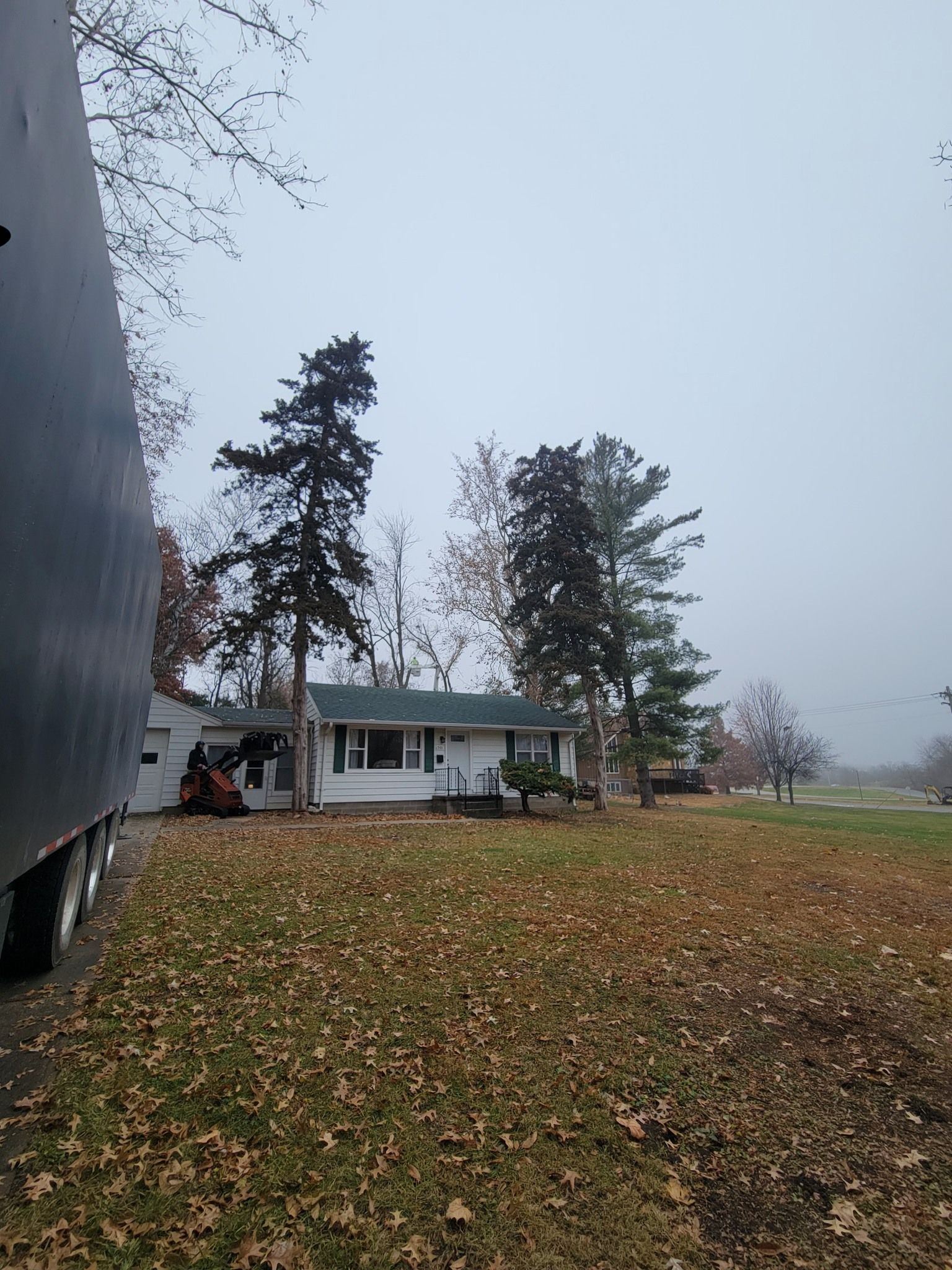 Foggy yard with a small white house, tall trees, and a ground covered in fallen leaves.
