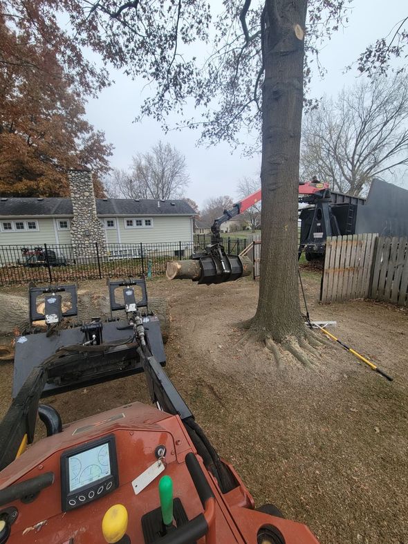 View from a loader with orange controls in a wooded backyard, near a large tree and fence.