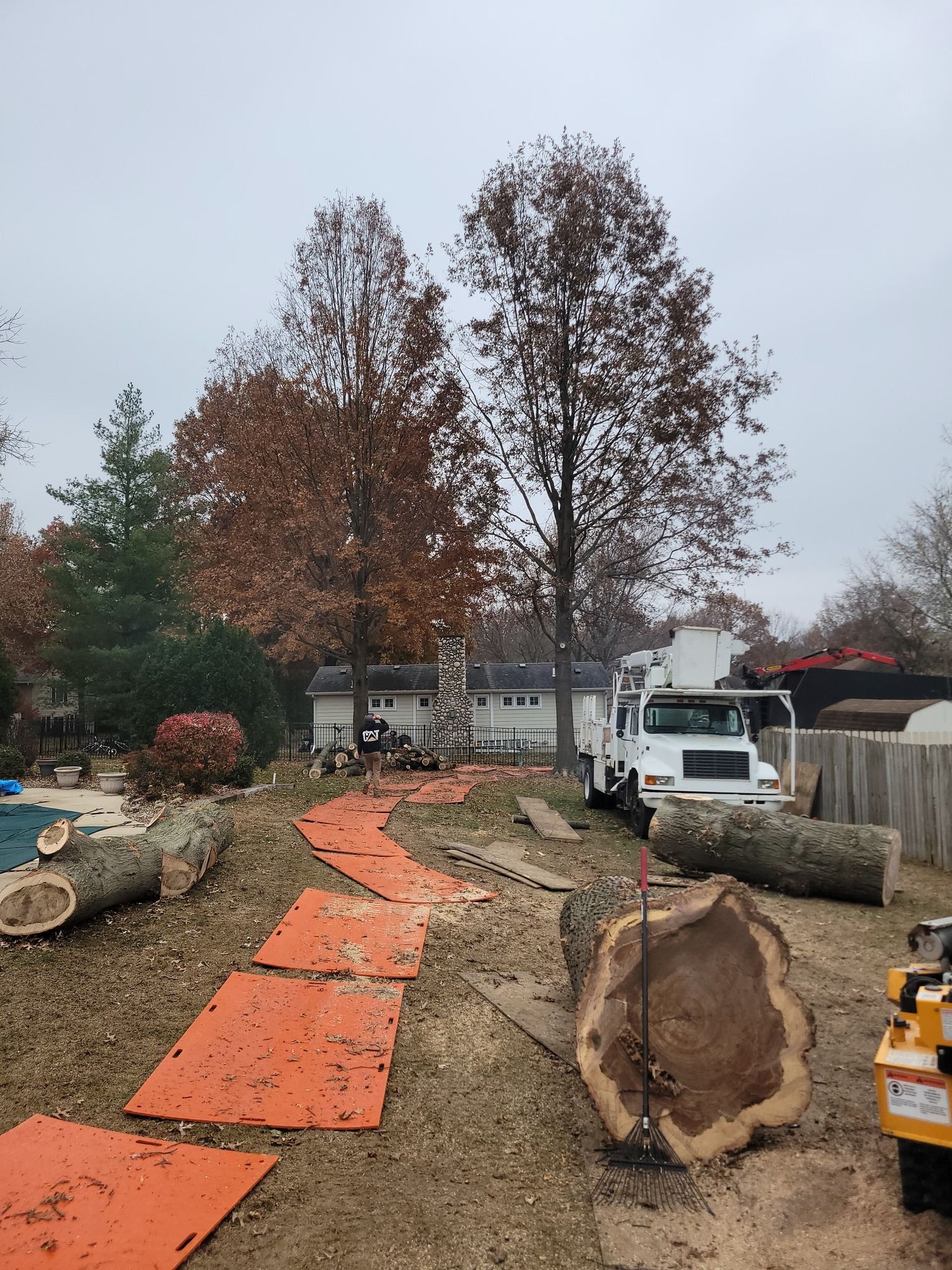 Mud-covered path lined with orange tarps, cut logs, and a white truck in a rural worksite.