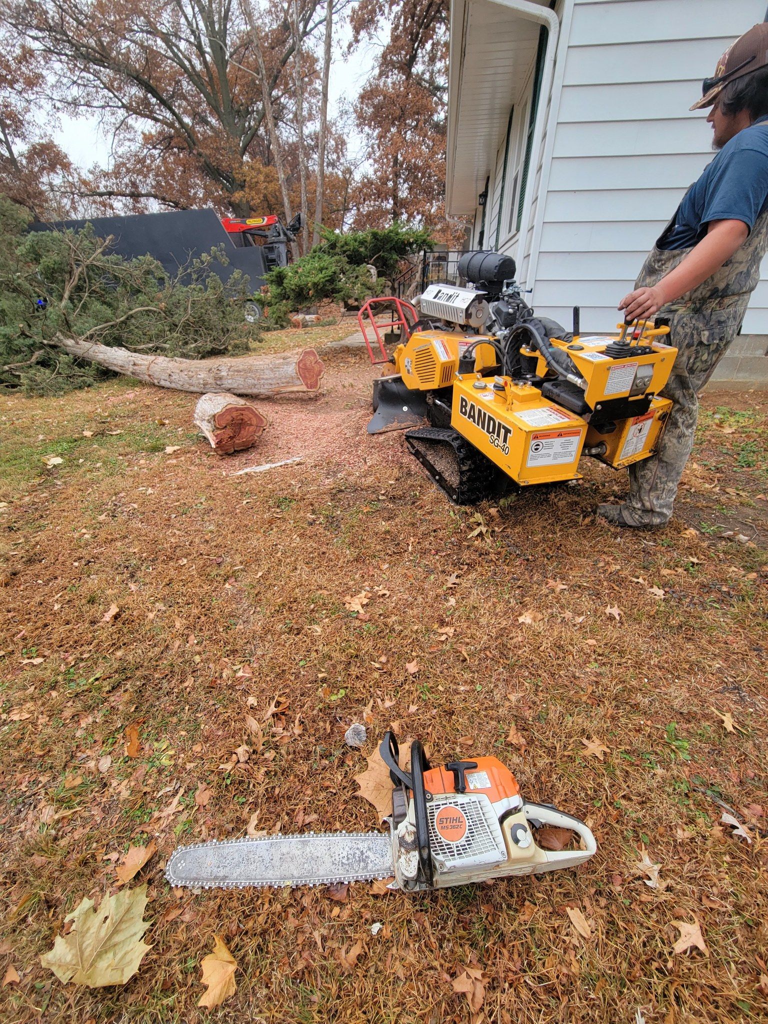 Worker operating a yellow stump grinder beside a house, with cut logs and a chainsaw on the leaf-covered ground.
