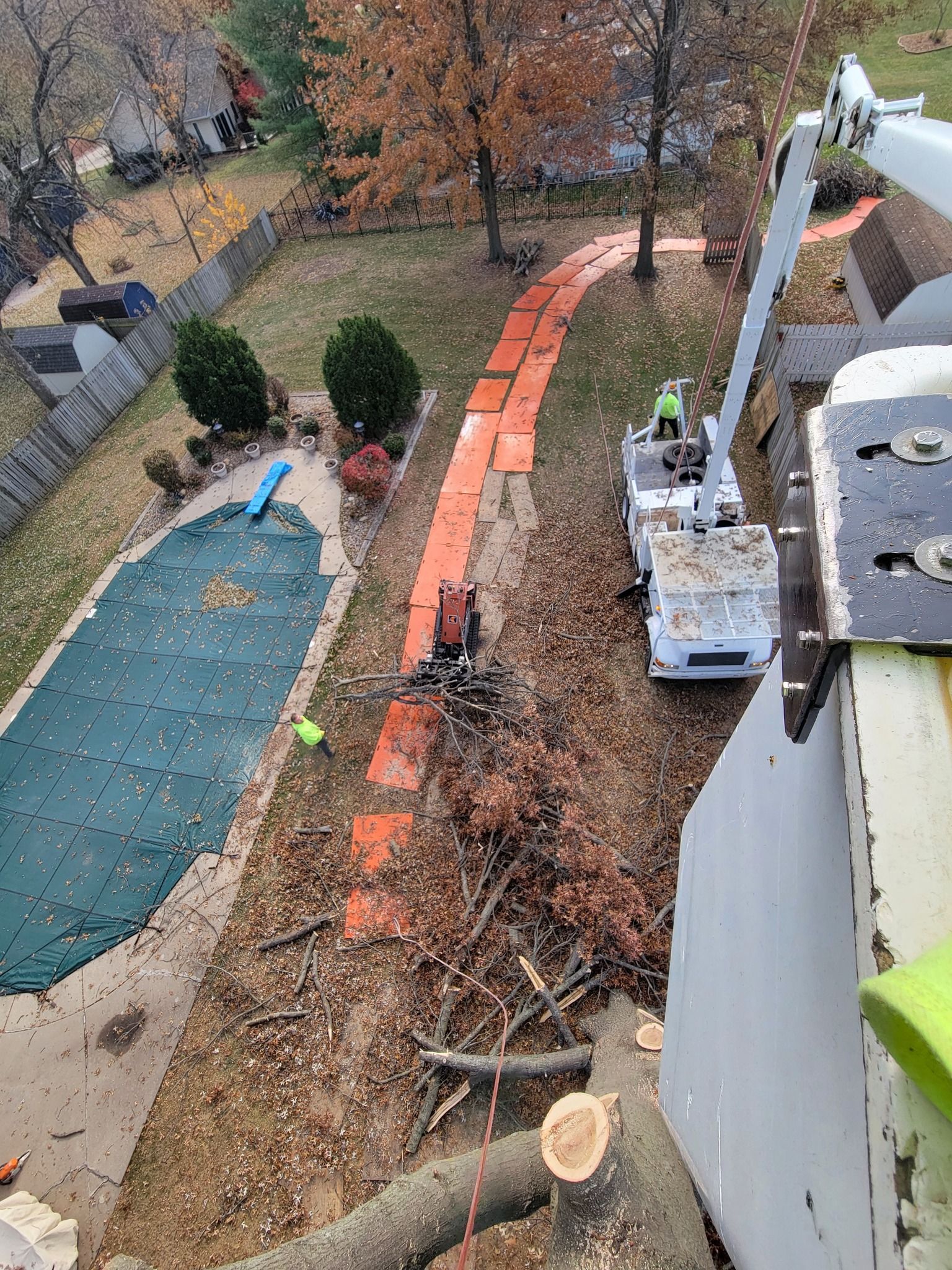 Crew on lift pruning trees beside a red path, with a covered pool below.