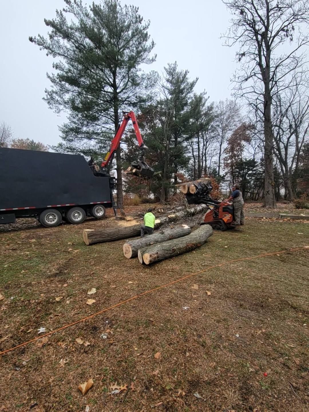 Workers cutting and loading logs with excavator and truck in a wooded yard