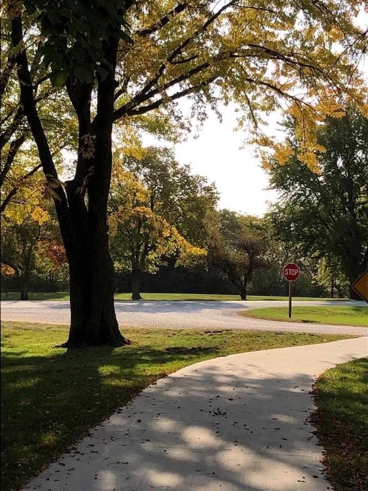 A concrete walkway in a park with trees and a stop sign