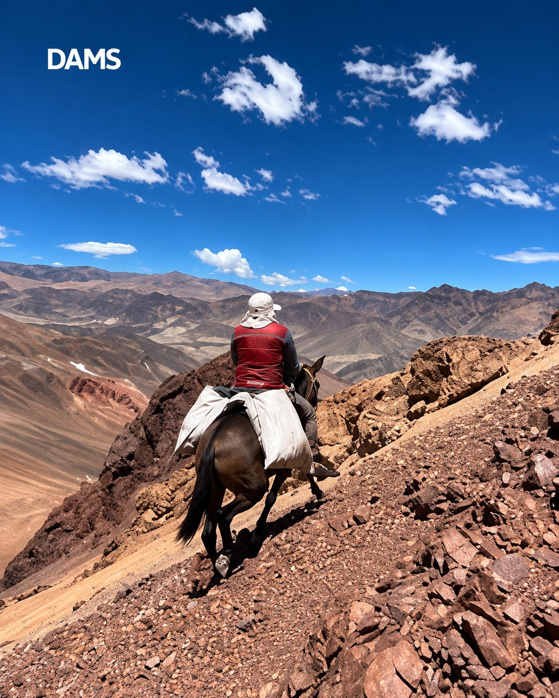 Jinete a caballo en un estrecho sendero rocoso sobre un cañón desértico bajo un cielo azul brillante.