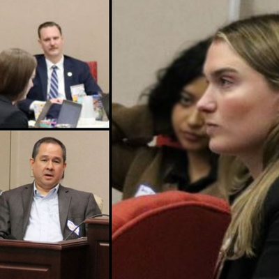 Pennington Lawyers at the 2024 DOAH Mock Trial Academy!