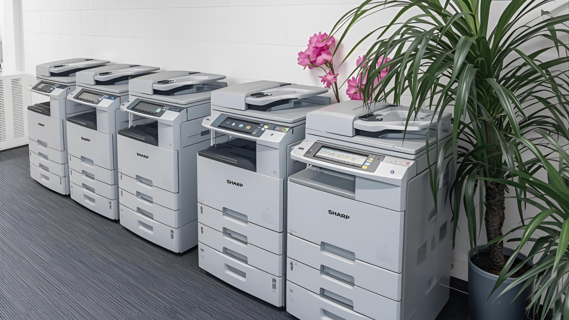 Several light-colored office copiers lined up against a wall, with a potted plant in the corner.