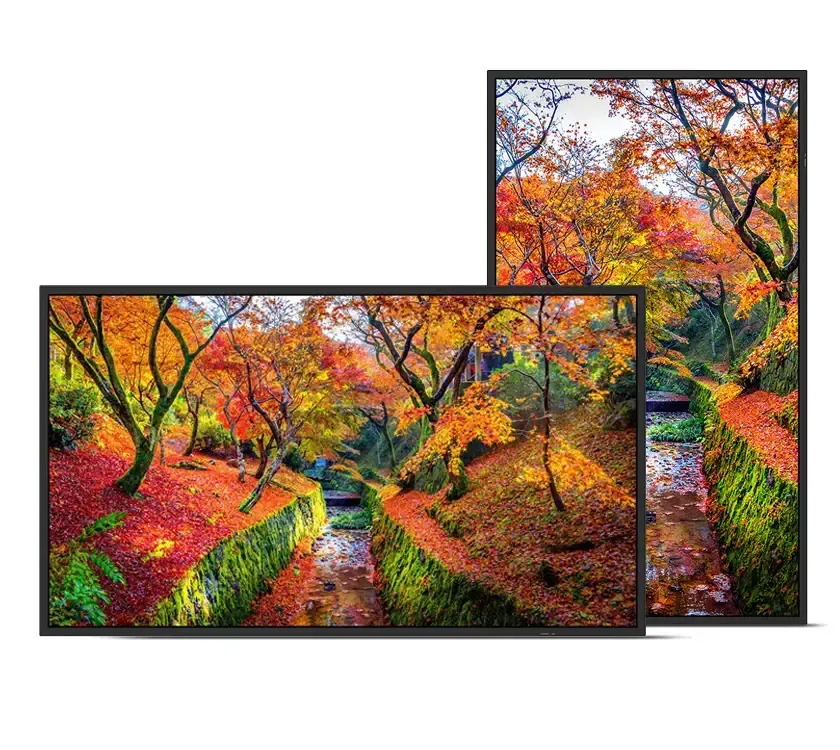 Two framed screens displaying a vibrant autumn forest scene with a stream, leaves, and colorful trees.