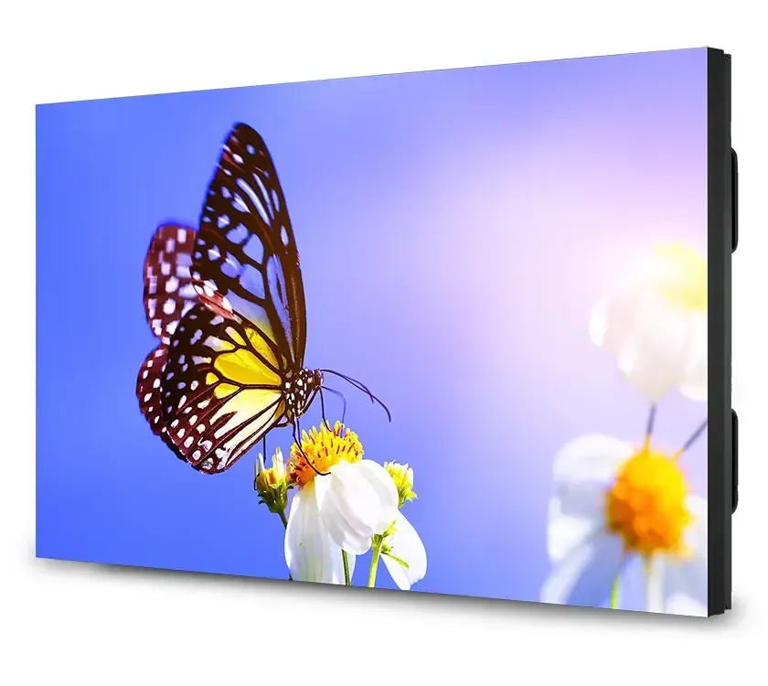 Butterfly on white flower against a blue sky displayed on a black screen.