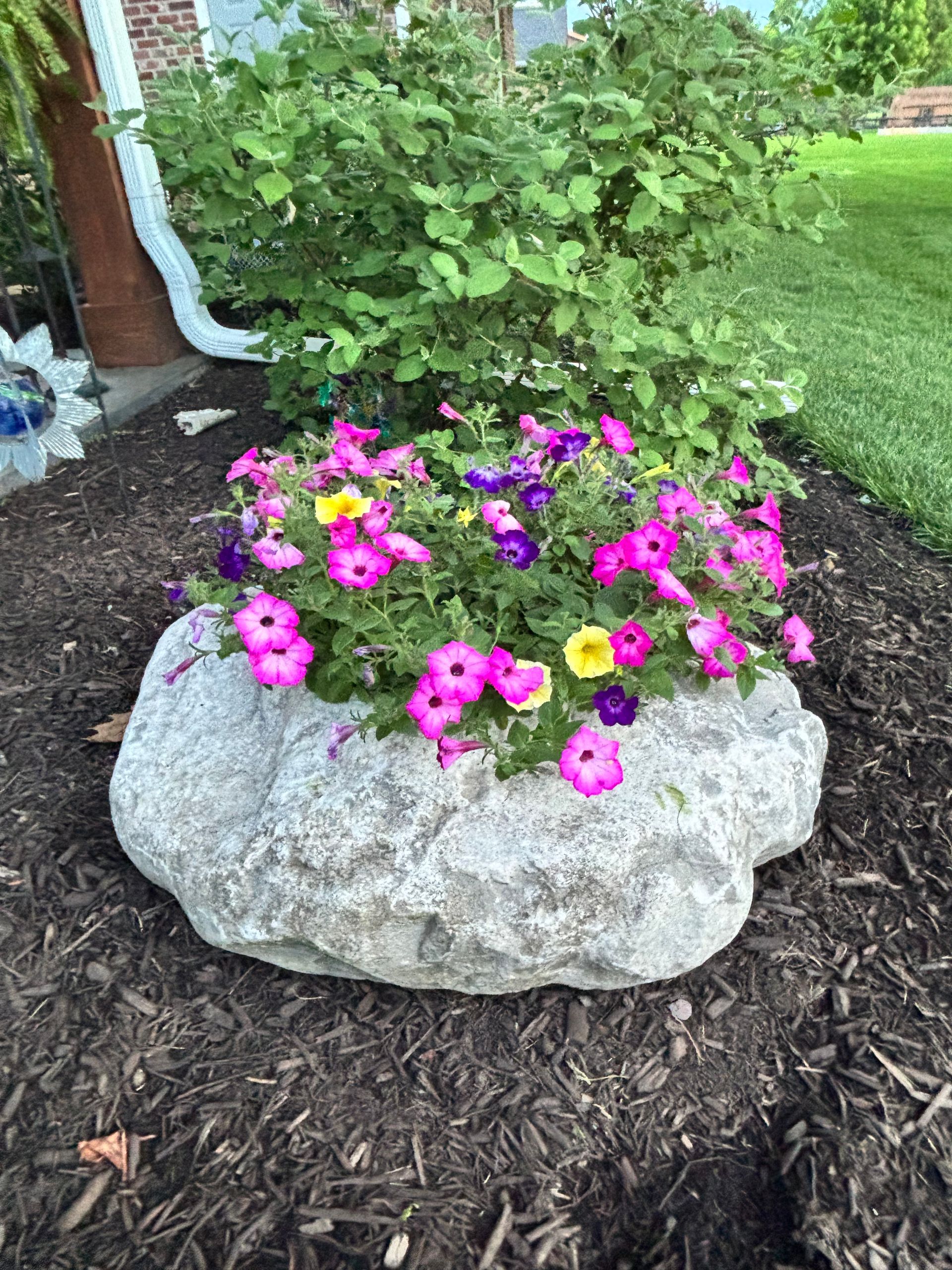 Pink and purple flowers blooming in a rock planter beside a garden bed