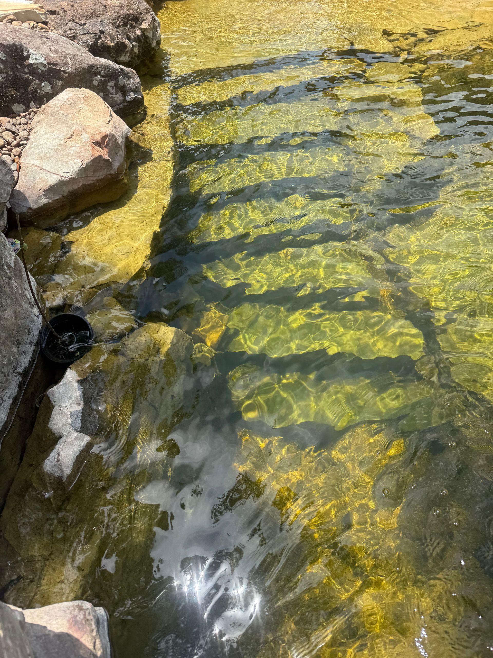 Clear stream water flowing over rocks with sunlight creating yellow-green reflections