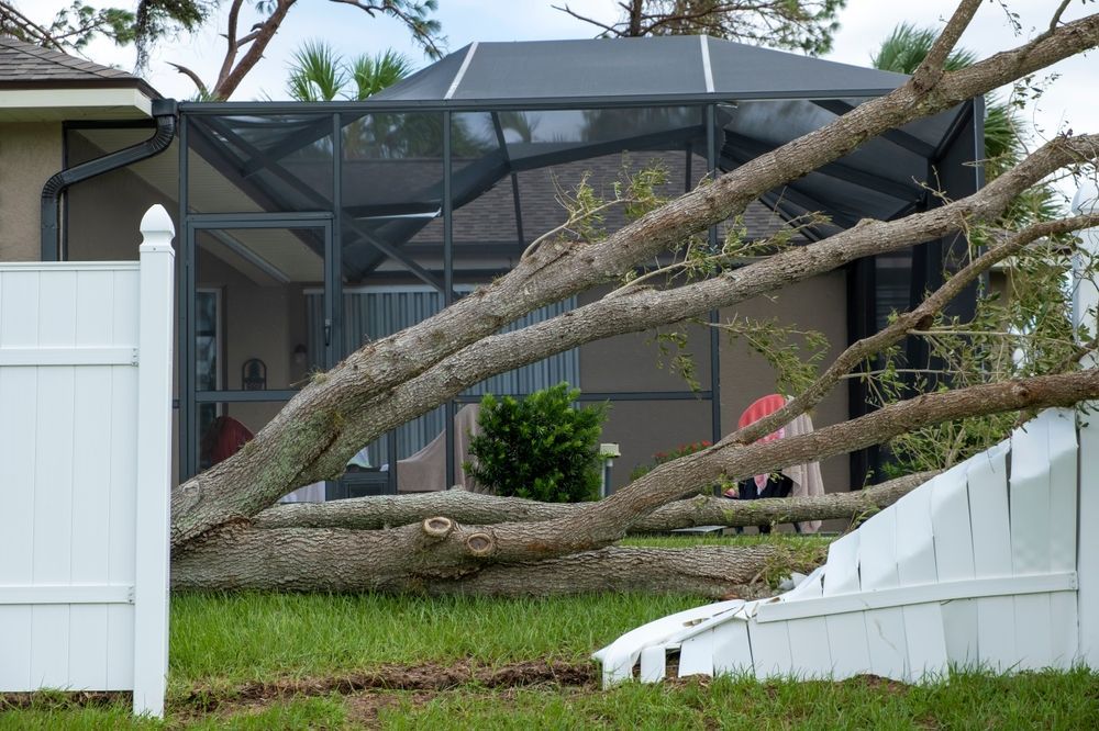 Fallen tree crushed white fence and lies across a backyard lanai after storm damage