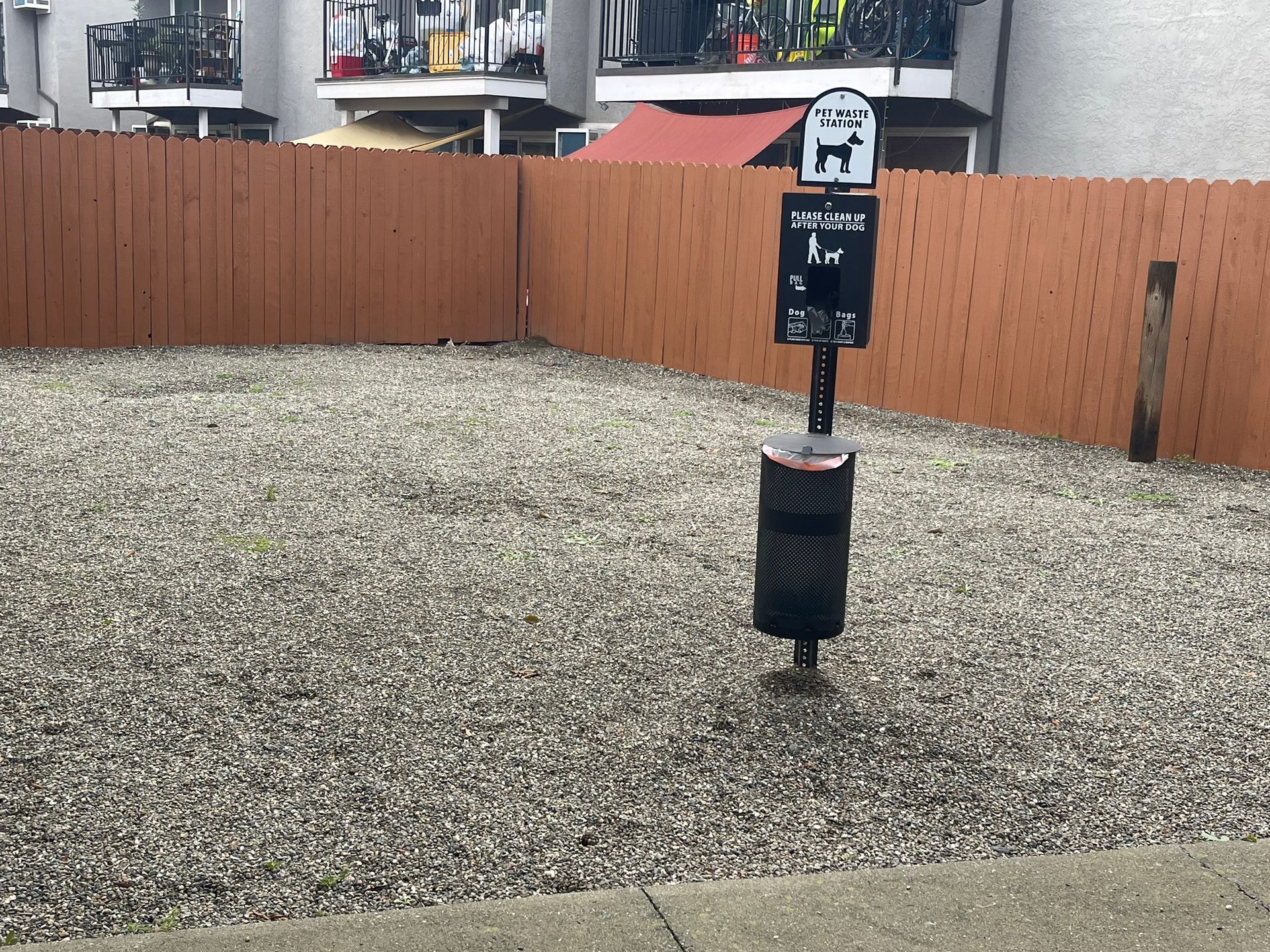 dog area 2